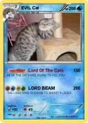 EVIL Cat