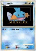 mudkip