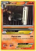 Parrot