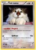 Petit matou