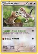 Chat Ninja