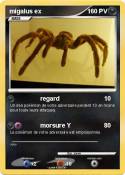 migalus ex