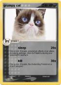 grumpy cat