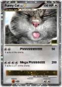 Funny Cat
