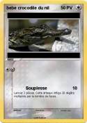bebe crocodile