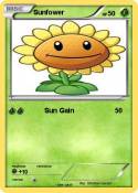 Sunfower