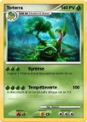 Torterra