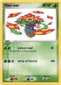 Plant man