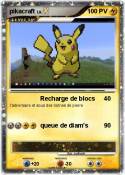 pikacraft