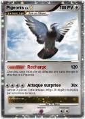 Pigeonis