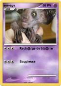 aye-aye