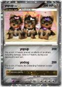 yopup