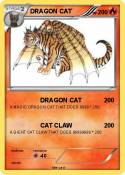 DRAGON CAT