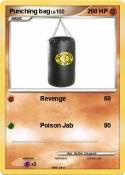 Punching bag