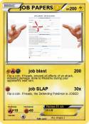 JOB PAPERS