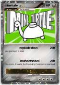 mineturle