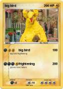 big bird