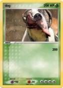 dog
