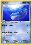 Wailmer