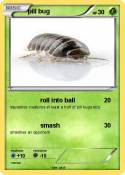 pill bug