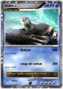 loutre