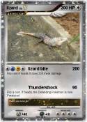 lizard