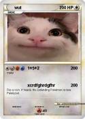 wut