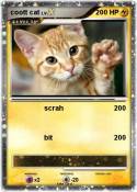 coott cat