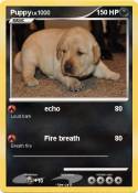 Puppy