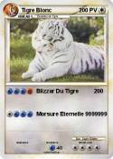 Tigre Blonc