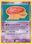 Cerebral Cortex