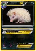 Porkechu