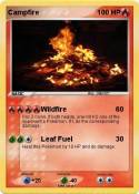 Campfire