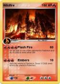 Wildfire