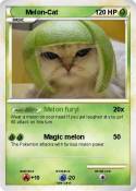 Melon-Cat