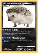 foxchinchillaha