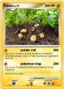 Potato
