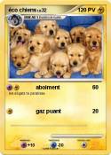 éco chiens