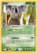 Koala