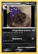 gato leviosa