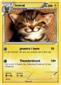 lovecat