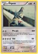 Pigeon
