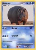 Hippo