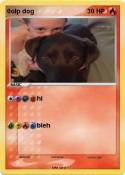 0olp dog