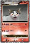 ray .