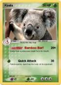 Koala