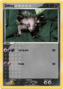 Zelroy