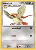 pidgeot