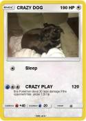 CRAZY DOG