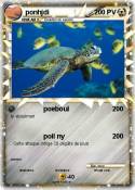ponhjdi